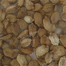 100 pcs Bitter Melon Gourd Ampalaya  Seeds Fresh From My Garden SP