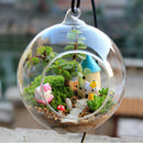 Hanging Glass Ball Vase Flower Plant Pot Stand Terrarium Containers Home  PDD