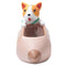 2pcs Succulent Pot Creative Planter Desktop Decoration for Succulent Herb