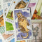 Cat Tarot Cards Game Party Playing Tarot Cards Whimsical and Humorous TarotB&SE
