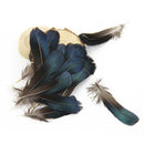 100PCS Rooster Tail Feathers 10-15CM Craft Hat Arts Decorations Wedding Card