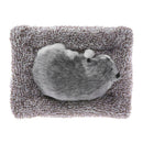 Sleeping Dog Bamboo Charcoal Bag Deodorant Car Interior Air Freshener Decor