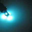 10 Pieces T10-5050-5SMD Ice Blue Festoon Dome Interior Working Reading Light