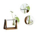 5X(Creative vase plant glass hydroponic container farm decorative flowerpo Q1T7)