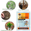 Plants Fast Rooting Powder Strong Rapid Medicinal Seedling For Cutting G1K7