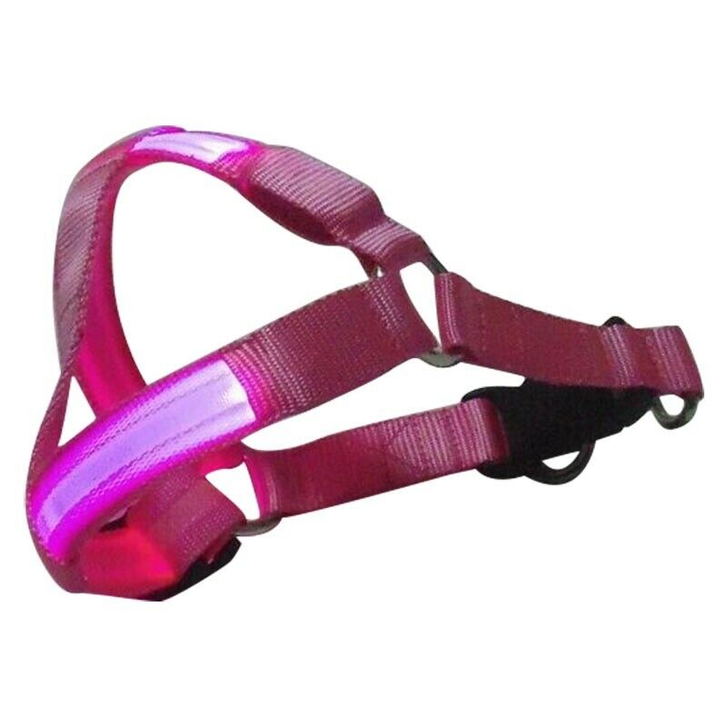 Dog Puppy Safety LED Glow Flashing Light Belt Leash Tether Harness Collar L