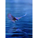 Flying Bird 5D DIY Full Round Diamond Painting Rhinestone Mosaic (XLX144)