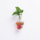 Skeleton Head Hanging Glass Hydroponic Flower Planter Vase Home Garden Decor