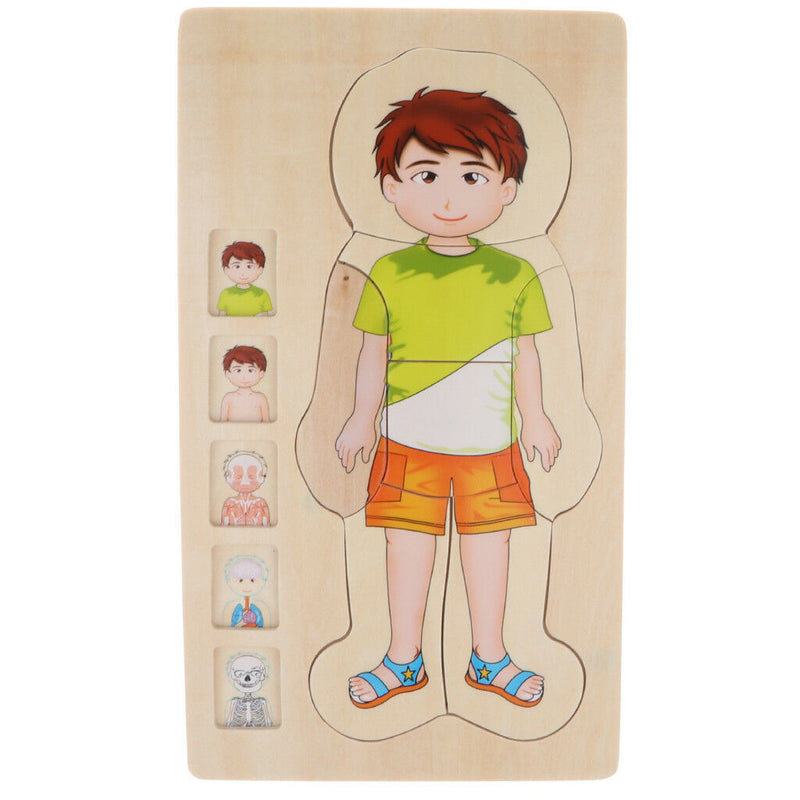 5-Layer Wooden Boy Body Puzzle, Help Your Boy Learn His Own Body Structure