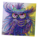5D Owl Diamond Painting Special Rhinestone for Beginner Home Decor 30x30cm