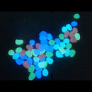 Glow In The Dark Pebbles Stone Walkway Aquarium Pet Fish Tanks Ornament Decor