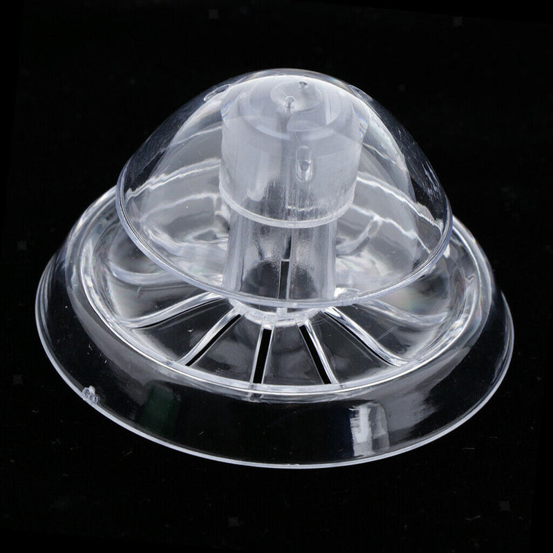 Acrylic Planaria Trap Snail Worm Catching Box Shrimp