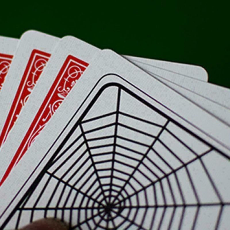 Spider  Close-Up Pocket Street Halloween Tricky X7I5 P8A2