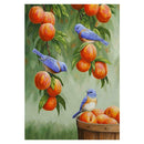 Peach Bird 5D Full Drill Painting Embroidery Kits Needlework Set 30x40cm