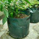 2PCS Potato Grow Bag Planter Grow Your Own Tomato Sack Spuds Tub Bags Po EEX
