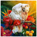 5D DIY Full Drill Diamond Painting Parrot Lovers Cross Stitch Embroidery