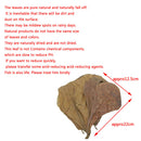 20Pc catappa leaves almond tree aquarium clean tool terminalia leaf about  G Pg