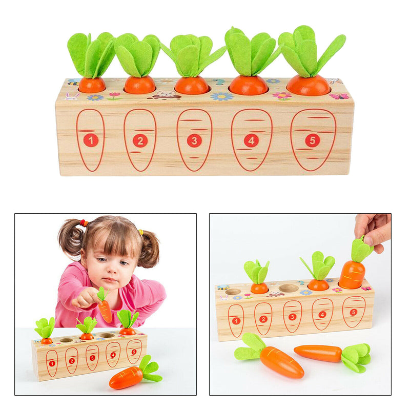 Edicational Carrots Harvest Wooden Matching Game Funny Toys for Boys Girls Gift