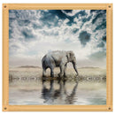 5D DIY Full Drill Diamond Painting Cross Stitch Embroidery (Elephant09)