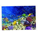 Aquarium   Tank Background Poster Marine Decorative Wallpaper 122x61cm