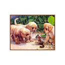 DIY Diamond Embroidery Painting Cute Dogs Round Rhinestone Cross Stitch Kit