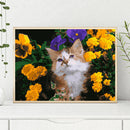 DIY Digital Painting By Numbers Cat Flower Canvas Picture Modern Wall Art