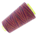 Rainbow Color Polyester Sewing Thread 40s/2 for Hand and Sewing Machine 5#