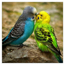 5D DIY Diamond Painting Parrot Cross Stitch Embroidery Needlework Craft Kit