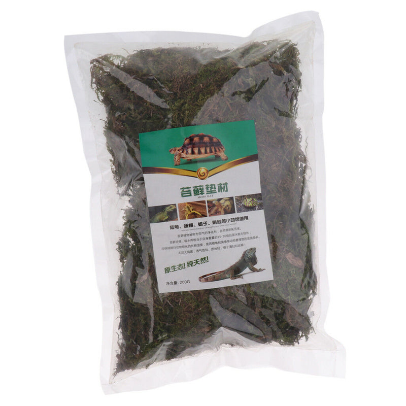 Reptile Supplies Natural Green Moss Controls Tropical and Wetland Humidity