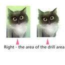 5D Diy Display Diamond Painting Animal White Cat Diamond Embroidery Circula L3X6