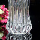Glass Flower Vase Roses Lily Foral Hydroponic Terrarium Container Bottle Pot