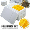 1X(Bee Hive Beekeeping King Box Pollination Box Foam Frames Beekeeping Tool