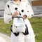 Clear Transparent Women Backpacks Jelly Teenage Girl Boys Schoolbag (White)
