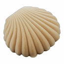 Shell Shape Velvet Earring Pendant Necklace Jewellery Display Storage Case