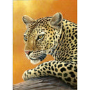5D DIY Full Drill Diamond Painting Tiger Cross Stitch Mosaic Kits (W591)