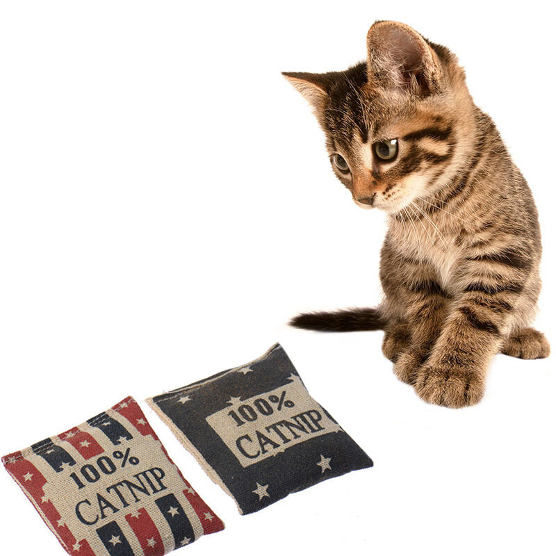 6x7cm Random Color Cute 100% Catnip Square Pillow Mini Kitty Kitten Cat P Dlqq