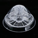 Acrylic Planaria Trap Snail Worm Catching Box Shrimp