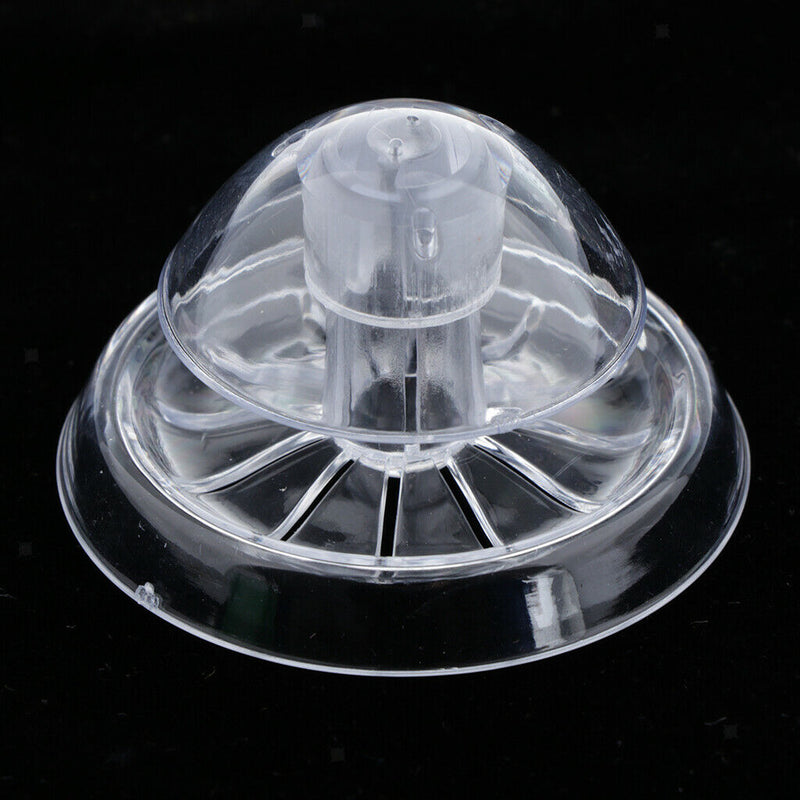 Acrylic Planaria Trap Snail Worm Catching Box Shrimp