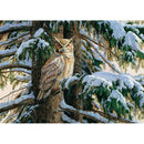 DIY Animal Cross Stitch 5D Full Drill Diamond Painting Wall Decor (C1337)