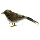 Small Artificial Bird Feather Realistic Sparrow Garden Tree Ornament 15cm