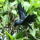 Plastic Feather Flying Crow Decoy Birds Scarer Scarecrow  Ornament