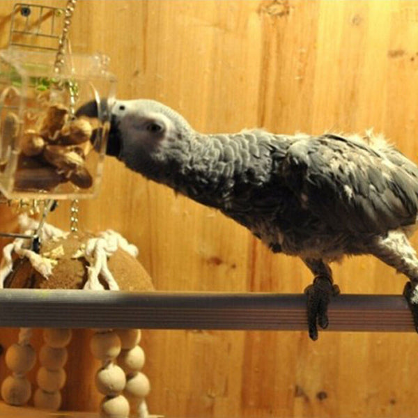 Parrot Bird Cage Feeder Hang Foraging Toys Pet Treat Hunt Macaw Cockatoo Budgie~