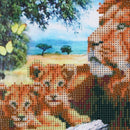 Beauty Animal 5D Diamond DIY Painting Craft Kit Home Decor