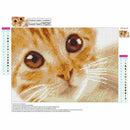 Full Square Diamond 5D DIY Diamond Painting "Cat" Embroidery Cross Stitch R