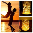 Glass Dome Bell Jar Cloche Wooden Base with 20LED Fairy Stand Light String X0G5