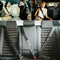 1 Set Universal Retractable 3 Point Auto Car Seat Belt hot Belt Adjustable C1G8