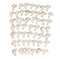 50Pcs DIY Wooden Foot Shaped Natural Wood Decoration Hand-made Graffiti ChipsOZ