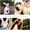 100 pcs Hawaiian Frangipani Foam Flower Head Decor for Wedding Crafts - YellY5N2