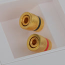 Speaker Wall Face Plate with 2+4 Golden Binding Posts Banana Plug, Pack of 4