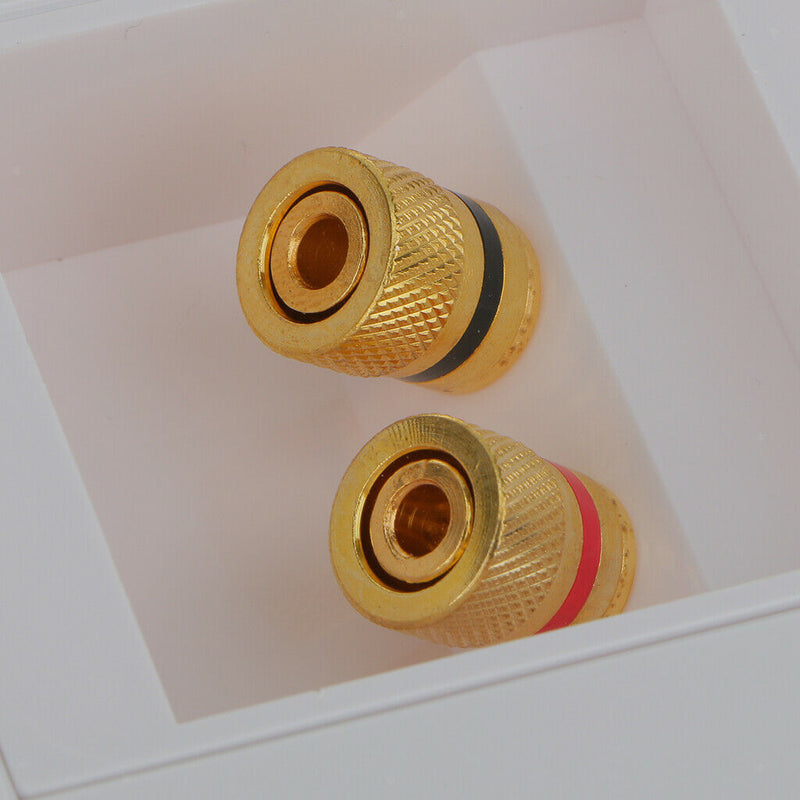Speaker Wall Face Plate with 2+4 Golden Binding Posts Banana Plug, Pack of 4
